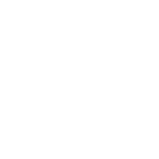 Mobilisights